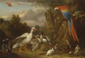 Een Ara, Eenden, Papegaaien en Andere Vogels in een Landschap